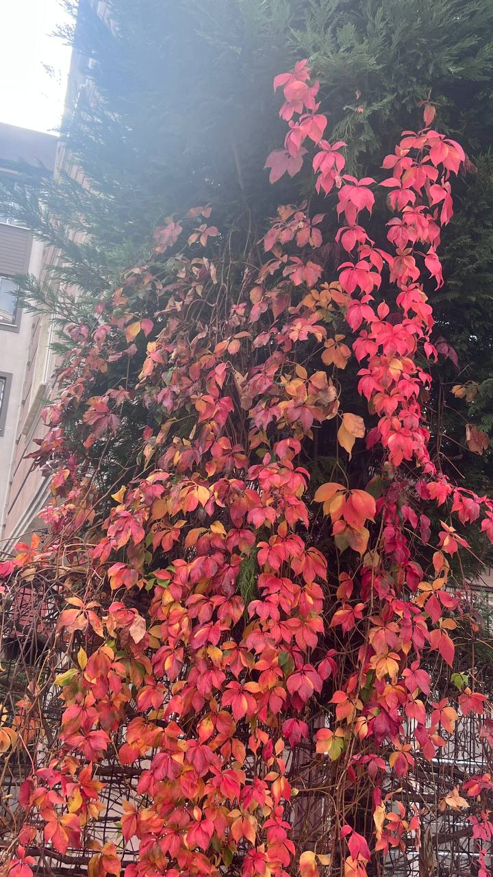 Step 2: Staying Present — How Focusing on the Moment Helped Me Stay Free from Obsessive Thoughts